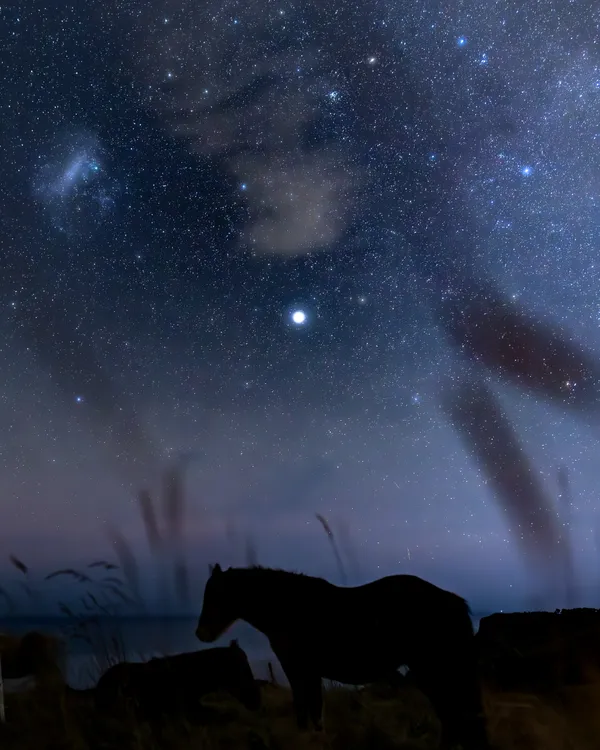 A horse guards his friend sleeping under the Large Magellanic Cloud thumbnail