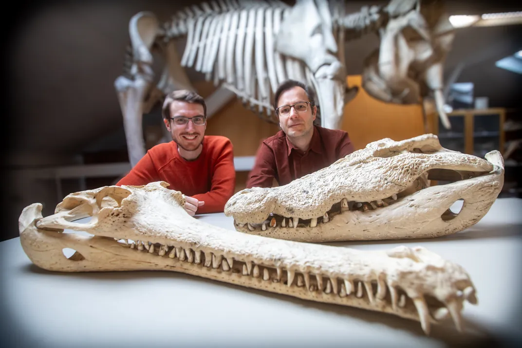 two white male researchers sit at a table behind two crocodilian skulls, with a dinosaur skeleton behind them
