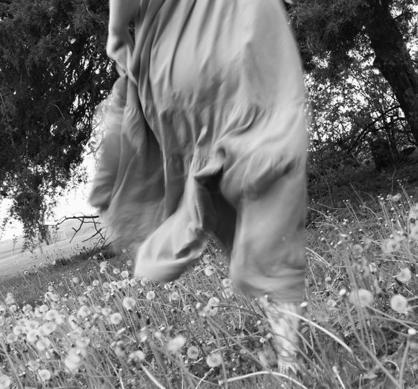 Frolicking thumbnail