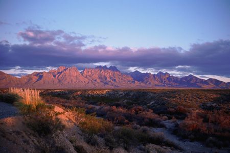 Organ Mountains at Sunset