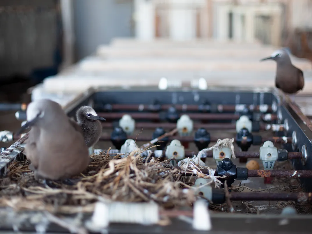 Noddies on Foosball Table in Tern Barracks