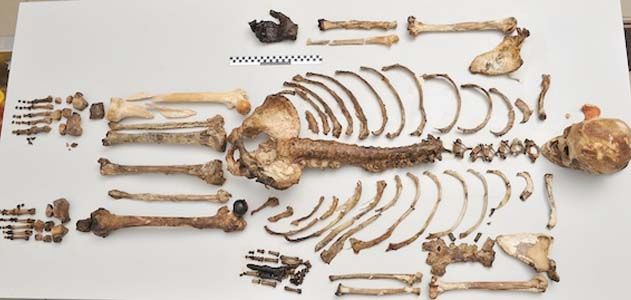 A new DNA analysis method reveals how ancient skeletons would have looked in the flesh.