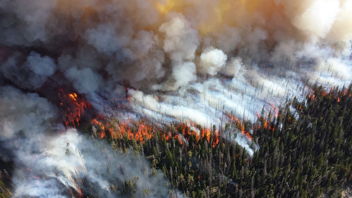 www.smithsonianmag.com