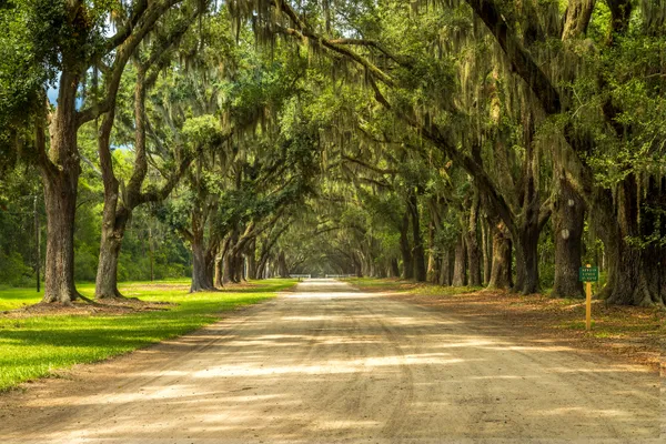 Take Me Home Country Road thumbnail