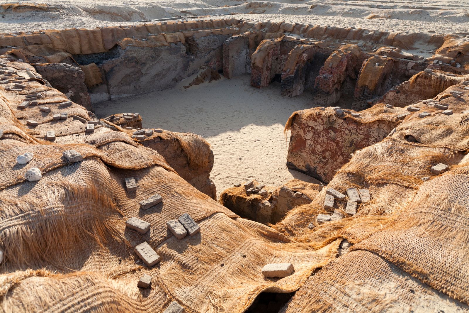 New Research Shows That These Ancient Egyptian Servants May Have Been Brutally Sacrificed and Buried Alongside Their Pharaohs