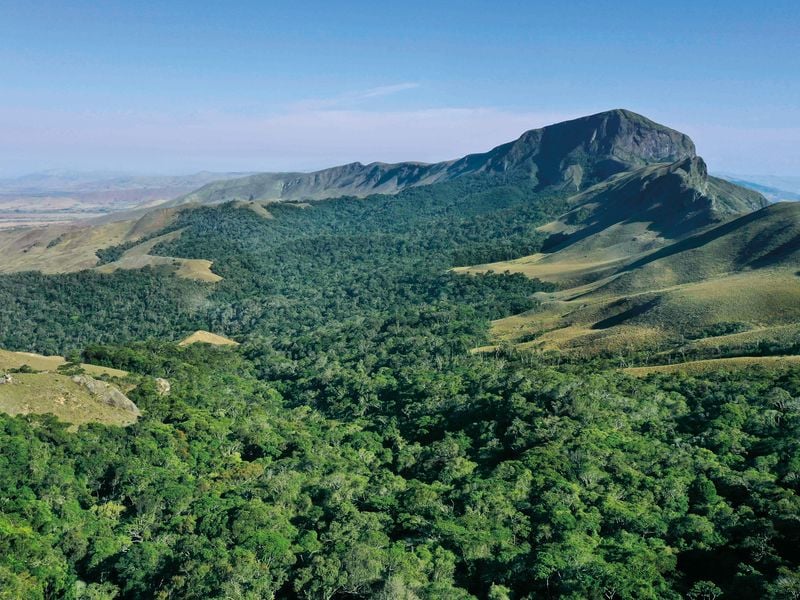 Madagascar's forests vanish to feed taste for rosewood in west and China, Madagascar