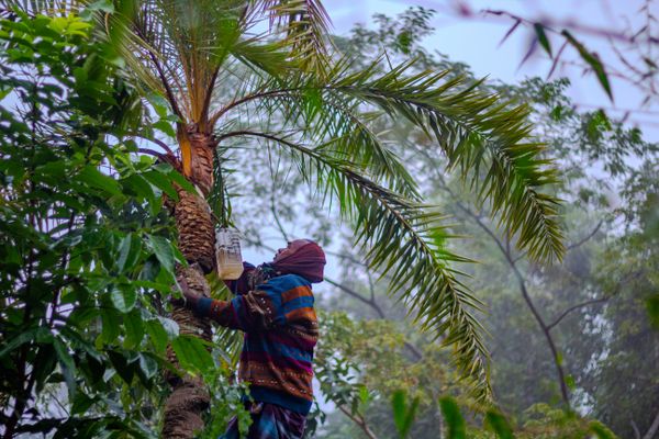 Eco-concern Harvest thumbnail