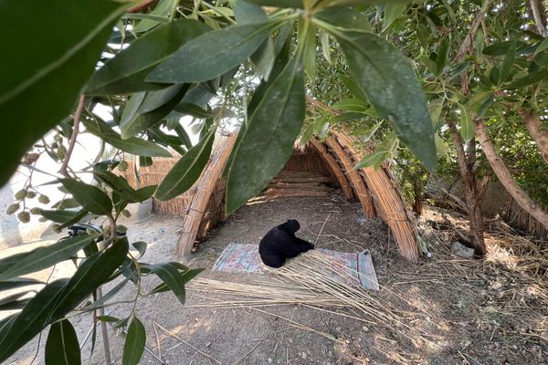 Hands of the Marshes thumbnail