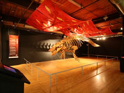 Legacy is scheduled to be on display at the Ontario Science Centre beginning in 2017 before embarking on an international tour.