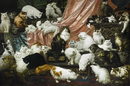 Bonus points if you can find a cat in this picture. 