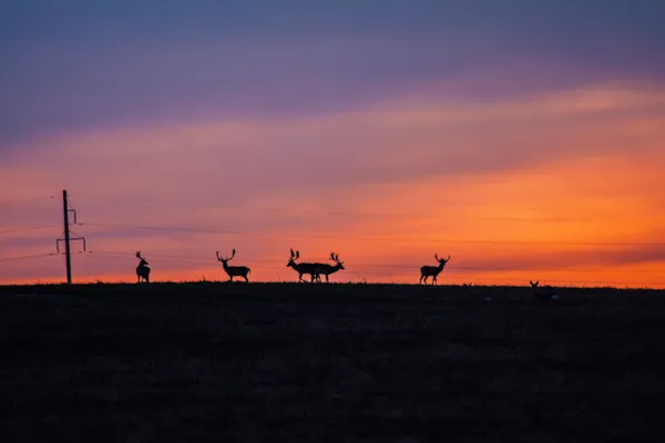 Push-and-pull thumbnail