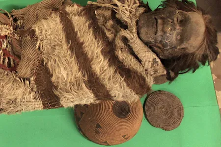 A roughly 2000-year-old mummified man of the Ansilta culture, from the Andes of San Juan, Argentina, had lice eggs and cement in his hair which preserved his own DNA