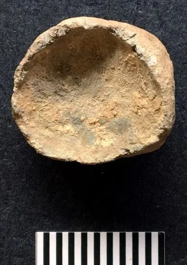 Worcester Musket Ball