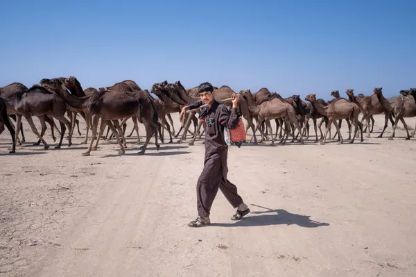 The Guardians of Banni thumbnail