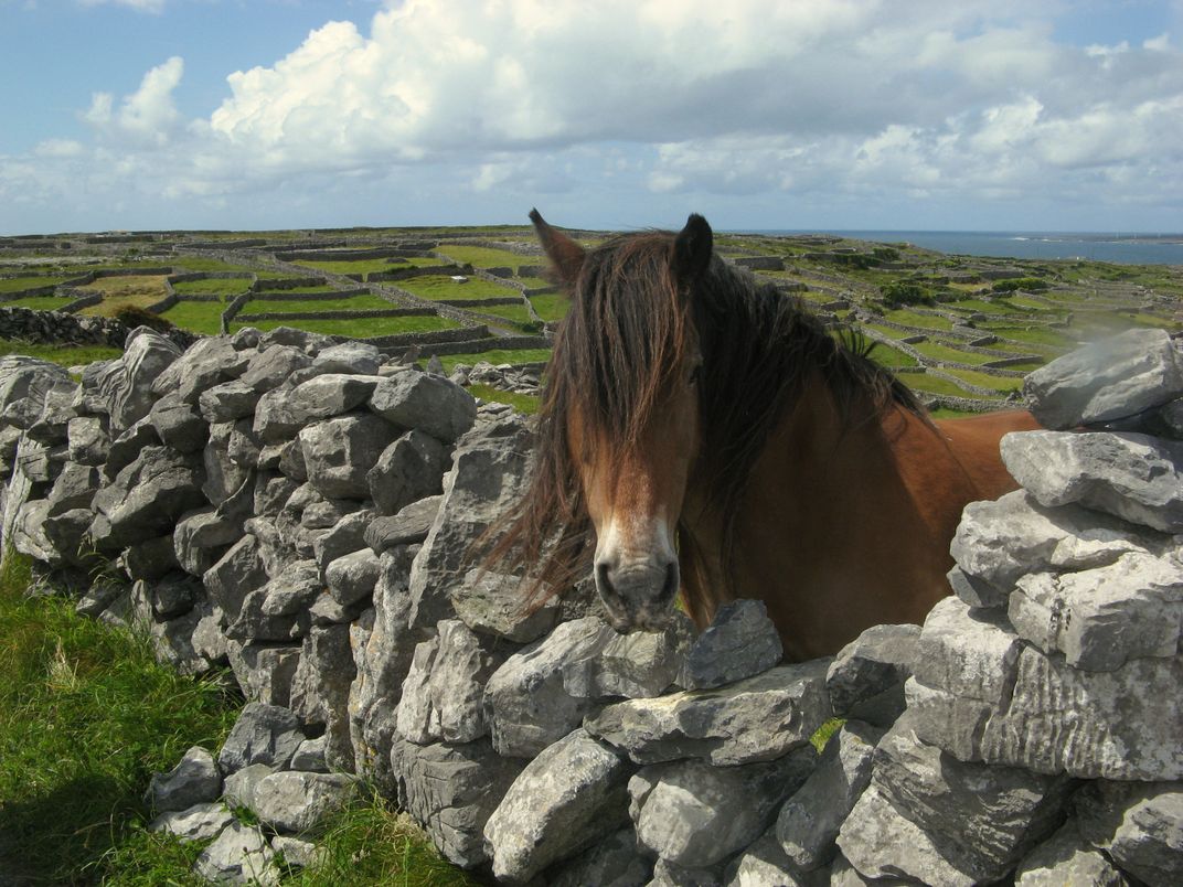 Typical landscape in Ireland. Credit: Ireland Tourism