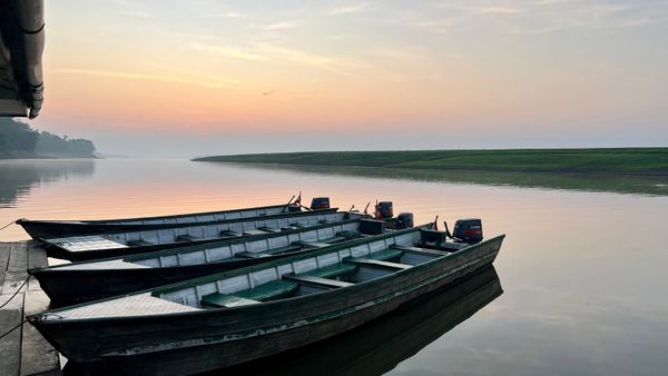 Rainforest Dawn on the Peruvian Amazon thumbnail