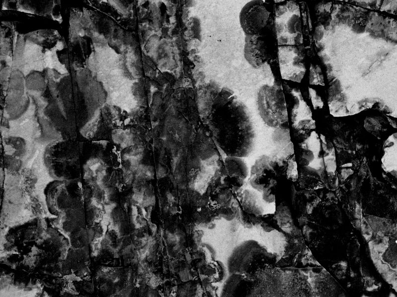 Tâches.Hommage à Jackson Pollock | Smithsonian Photo Contest ...