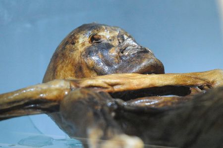 The naturally mummified body of Ötzi is seen in a cooling chamber at the South Tyrol Museum of Archaeology in Bolzano.