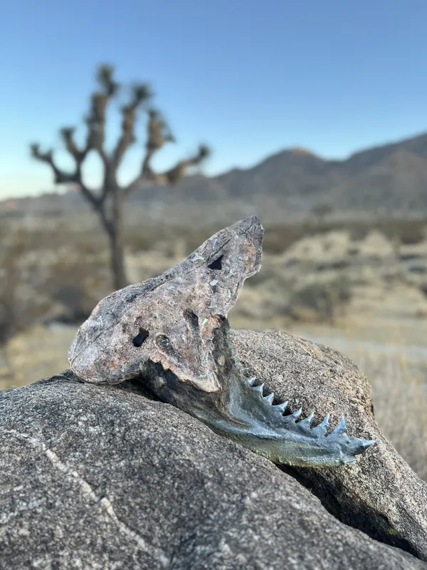 Fossil at Joshua Tree thumbnail