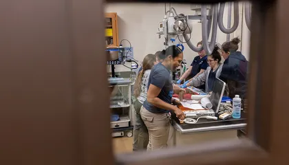 Inside a Komodo Dragon Vet Exam at the Smithsonian’s National Zoo