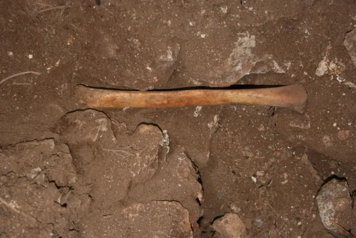 A human bone inside a cave