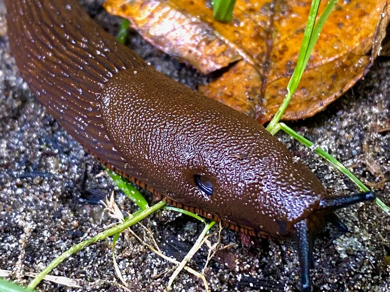 PNW slug Smithsonian Photo Contest Smithsonian Magazine