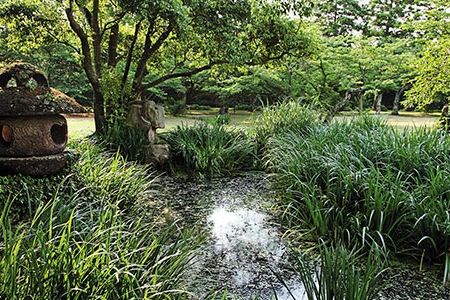 All that remains of Hagi Castle are its ruins.  Built in 1604, the castle is located in the peaceful Shizuki Park at the northwestern tip of the city.