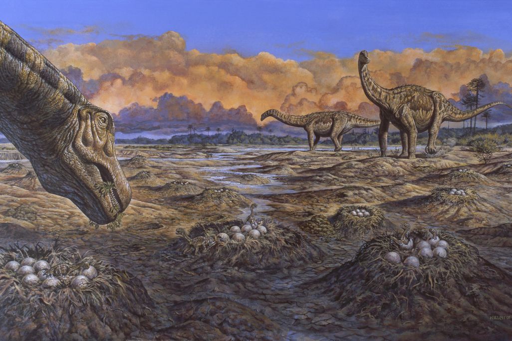 titanosaurs