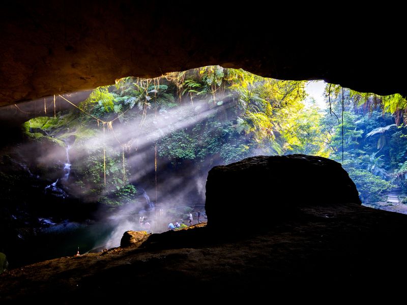 Bat Cave Smithsonian Photo Contest Smithsonian Magazine