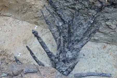For the first time, researchers have discovered remnants of Roman-era wooden spikes meant to deter attackers.