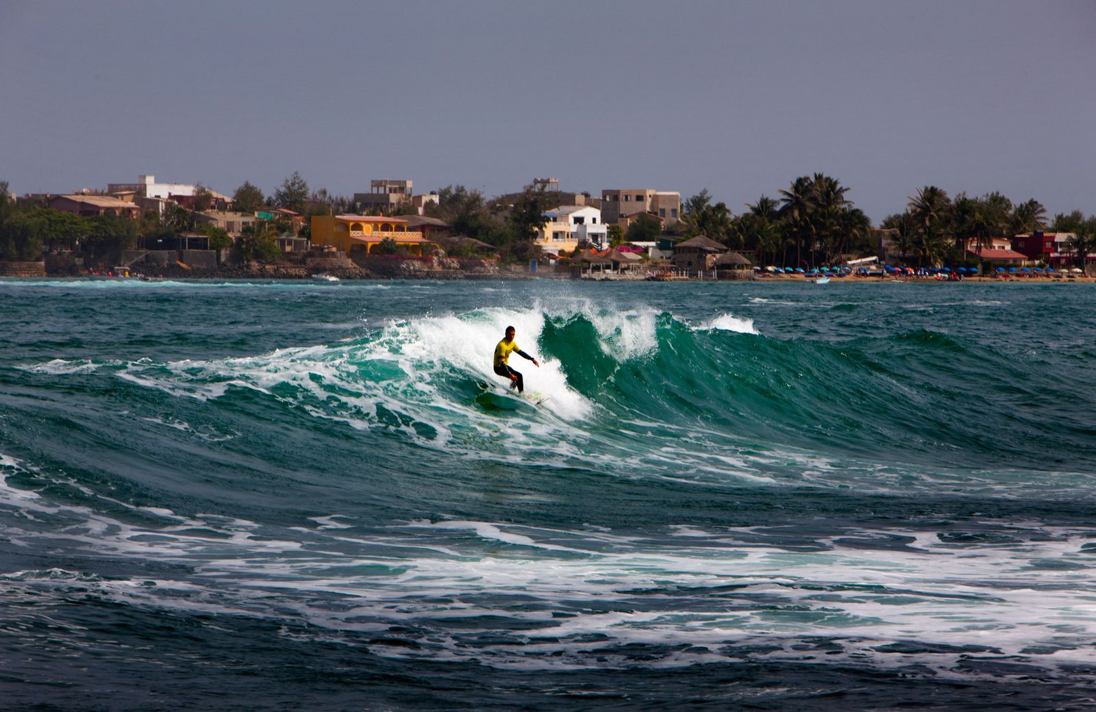 Big Waves Meet Biodiversity: Why Surfing Paradises Could Offer a Key Opportunity for Marine Conservation