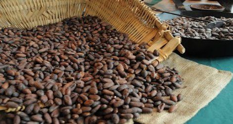 Indulge and educate yourself at the Power of Chocolate Festival this weekend.