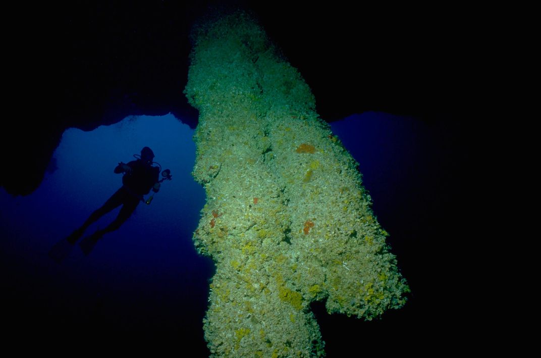 Stalactites in Blue Hole, Belize