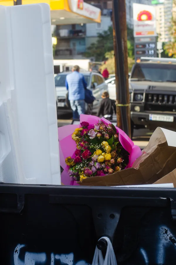 The End of the Celebratio thumbnail