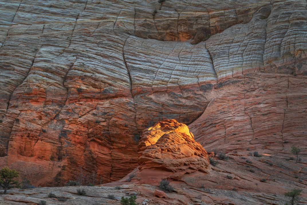 Checkerboard Mesa Zion National Park Smithsonian Photo Contest Smithsonian Magazine 7599