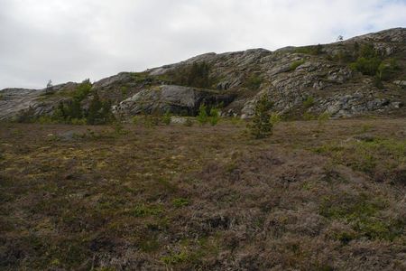 Frost drought and extreme winter warming trigger a phenomenon known as "Arctic browning"