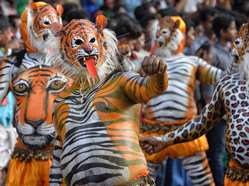 Tiger dance 1 Smithsonian Photo Contest Smithsonian Magazine