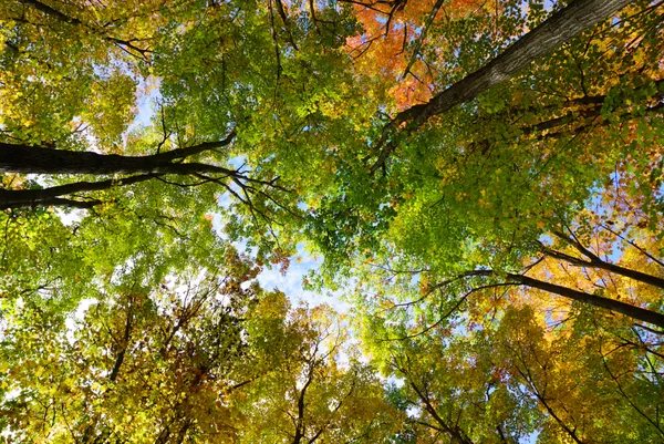 Colours of nature thumbnail