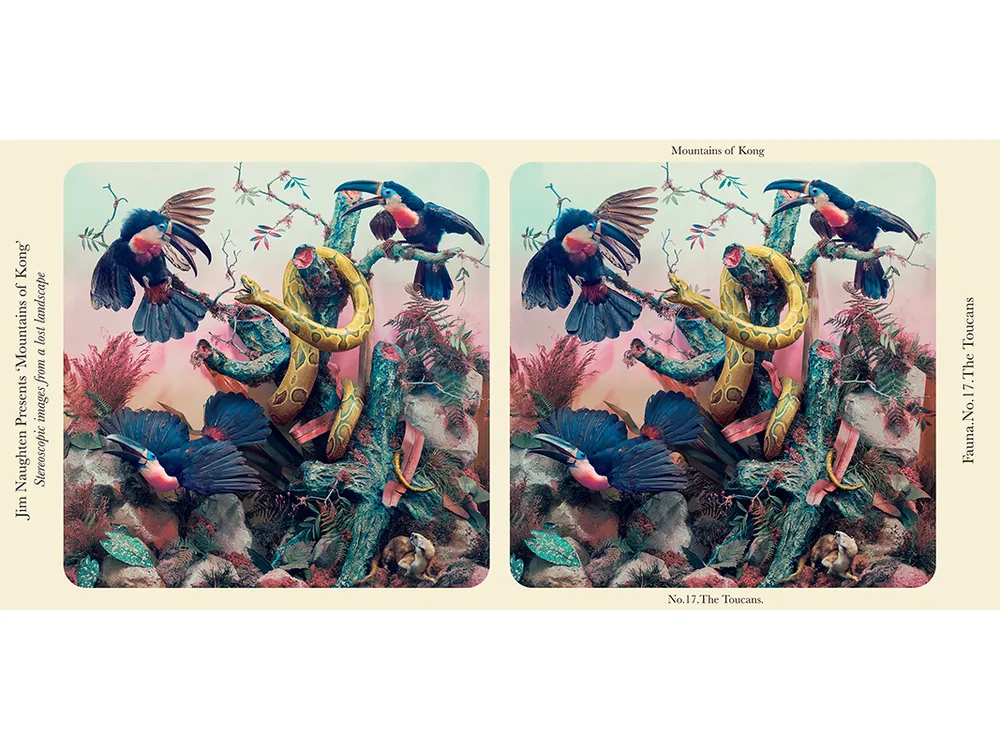 Jim Naughten’s 2017 stereograph, The Toucans, mimics the look of a Victorian image.