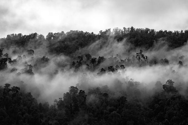 Mother Nature in Chrome thumbnail