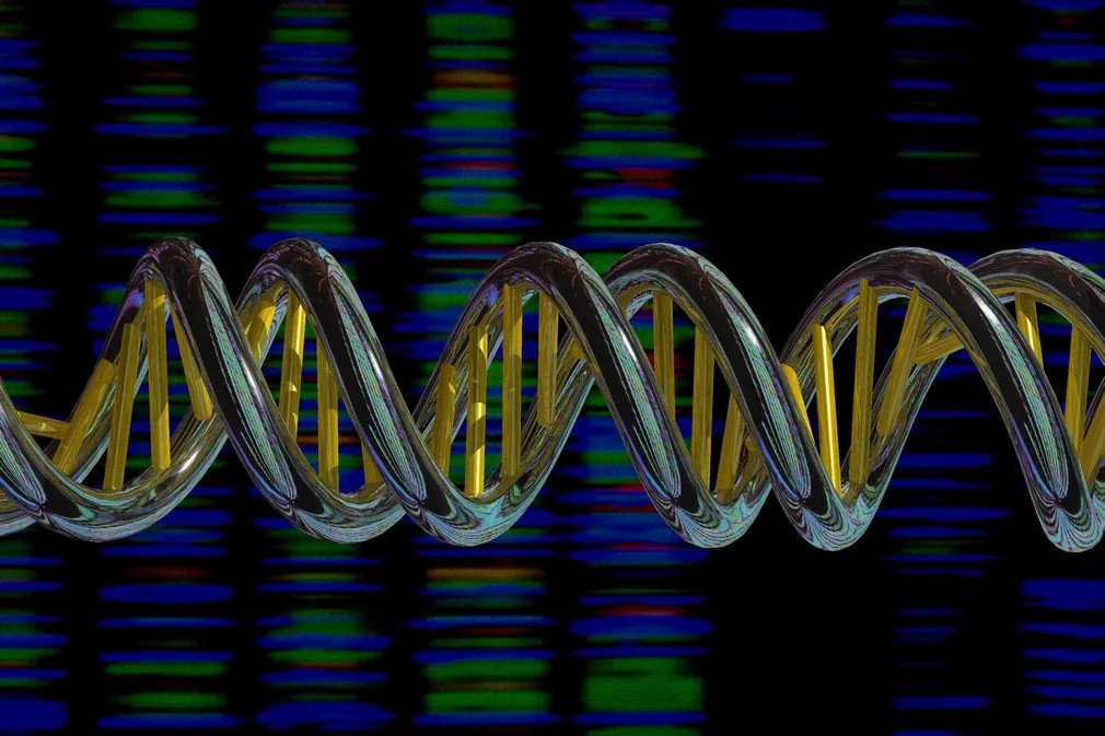 DNA