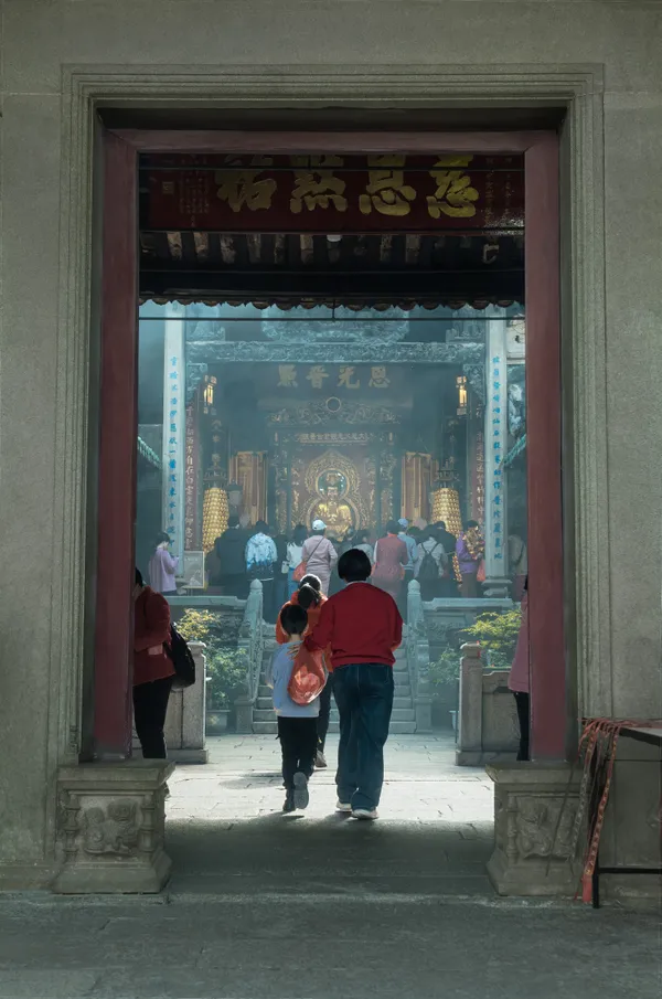 The sight of back thumbnail