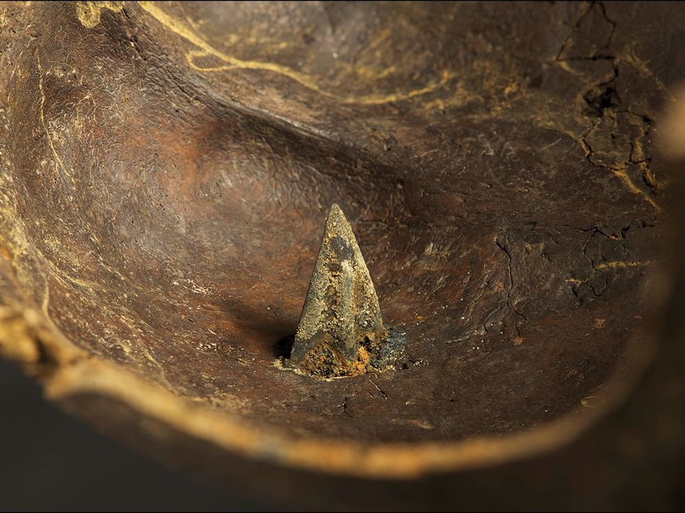 skull