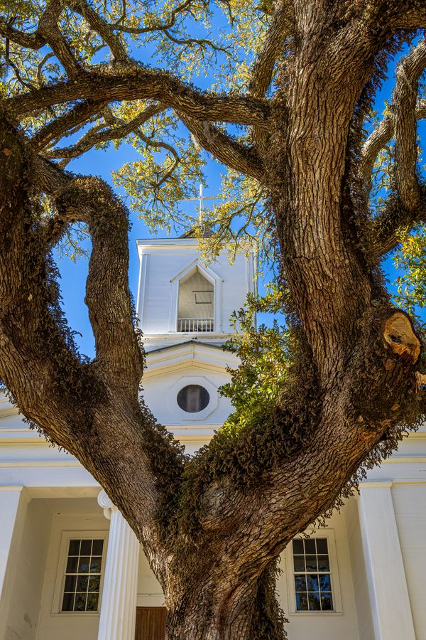 Church through the oak thumbnail