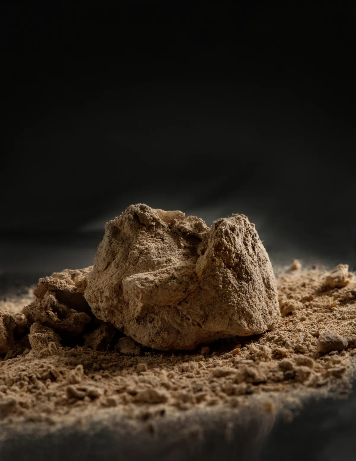 Giant Fossilized Human Poop
