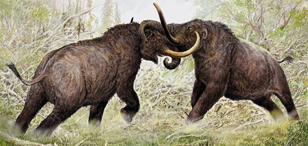 mastodon animal facts