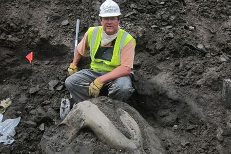 A man wearing a white hard hat, neon vest, dark gray pants and yellow gloves sits in a pit of dark rock. Just below his knees is a boulder with a piece of lighter gray fossil sticking out of the top.