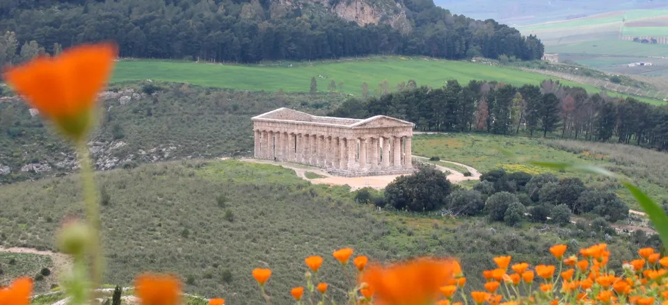  The Greek temple of Segesta 