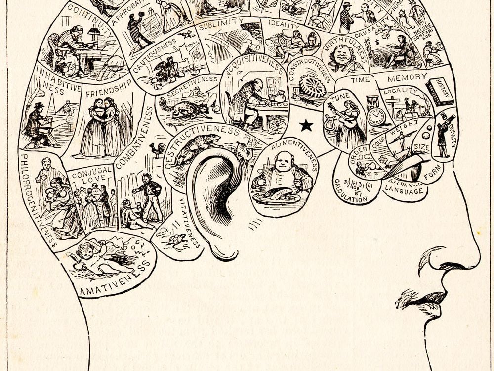 A typical 19th-century phrenology chart