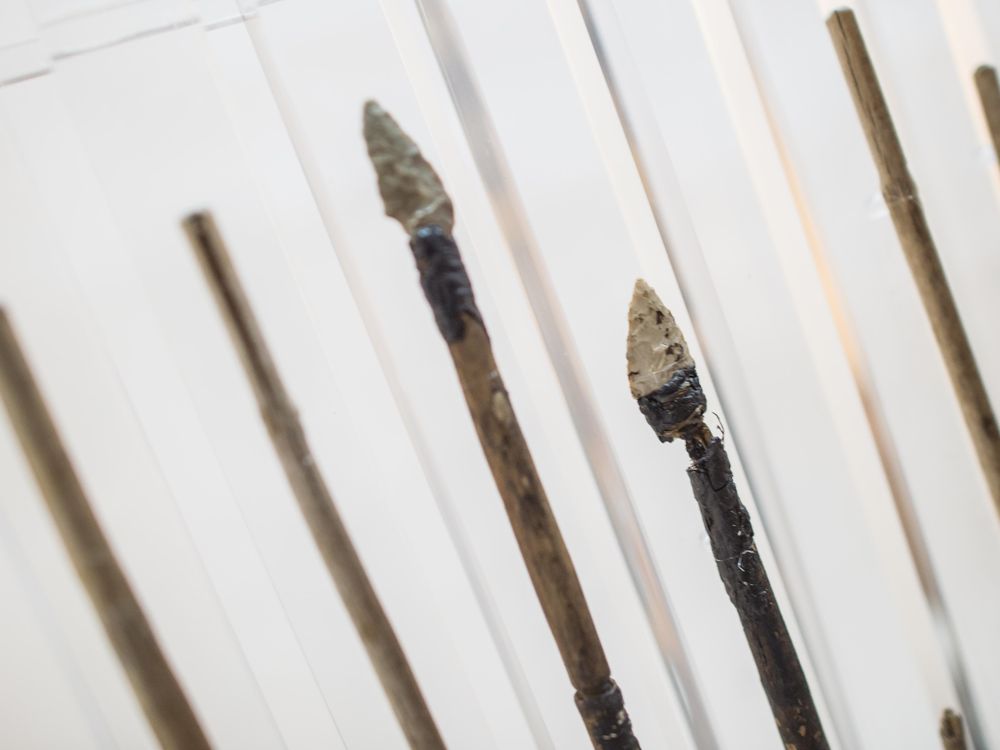 Otzi's arrows